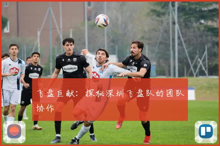 飞盘巨献：探秘深圳飞盘队的团队协作