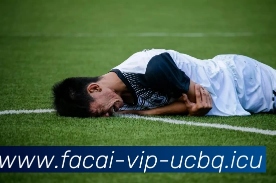 爱游戏体育注册平台生态图